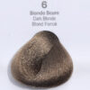 6 - BIONDO SCURO
