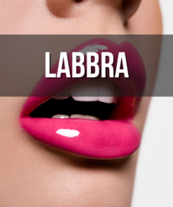 Labbra