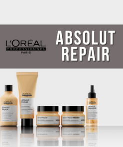 ABSOLUT REPAIR