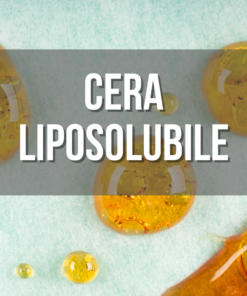 Cera Liposolubile