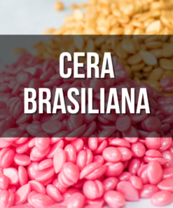 Cera brasiliana