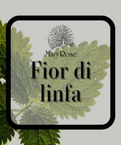 FIOR DI LINFA